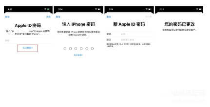 apple我的appleid密码找回-第1张图片-王尘宇