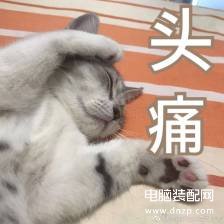 显卡怎么看性能参数-第1张图片-王尘宇 显卡怎么看性能参数-第1张图片-王尘宇
