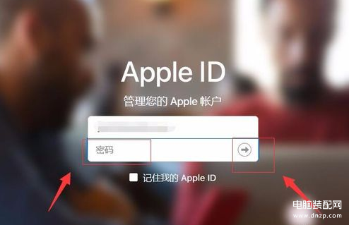 苹果商店id更换不了怎么办-第1张图片-王尘宇