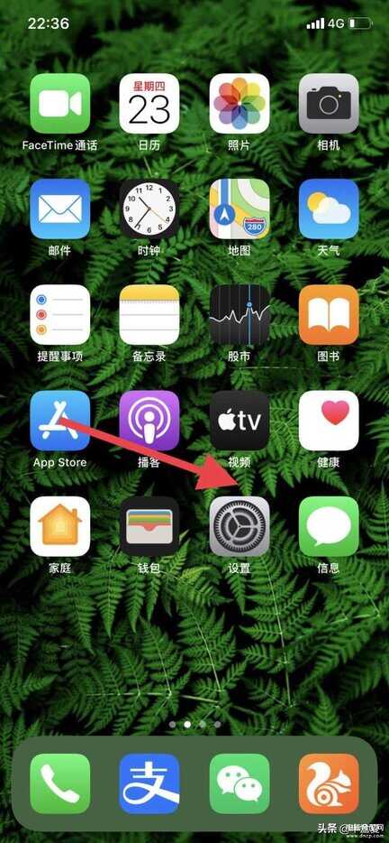 苹果黑名单解除方法是什么-第1张图片-王尘宇