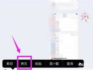 粘贴板在哪可以找到苹果手机-第1张图片-王尘宇