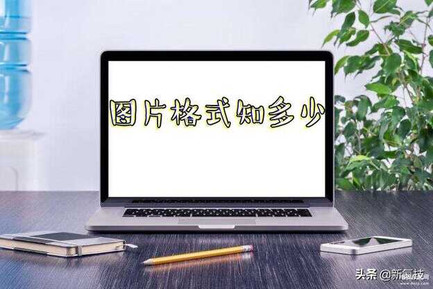 图片都有什么格式-第1张图片-王尘宇