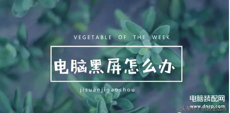 怎样解除电脑两边黑屏-第1张图片-王尘宇